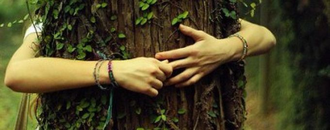 Les arbres, connectés à la terre par leurs racines, et au ciel par leurs branches, possèdent une énergie particulièrement forte dont nous pouvons nous ressourcer. L'énergie des arbres et de la forêt ont un fort pouvoir relaxant, apaisant, anti-anxiogène.