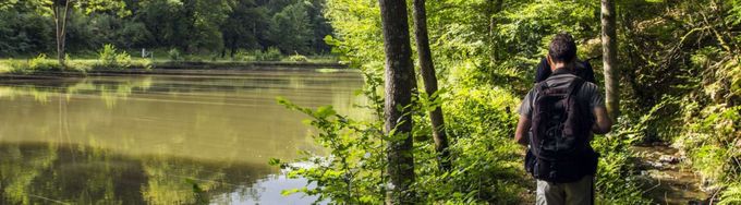 Se balader dehors, respirer l’air pur et se sentir bien, ou même mieux : c’est une expérience que nous avons tous faite un jour ! Et si ce sentiment de bien-être procuré par une balade en forêt n’était pas qu’un mirage mais cachait de véritables vertus physiologiques et thérapeutiques ?